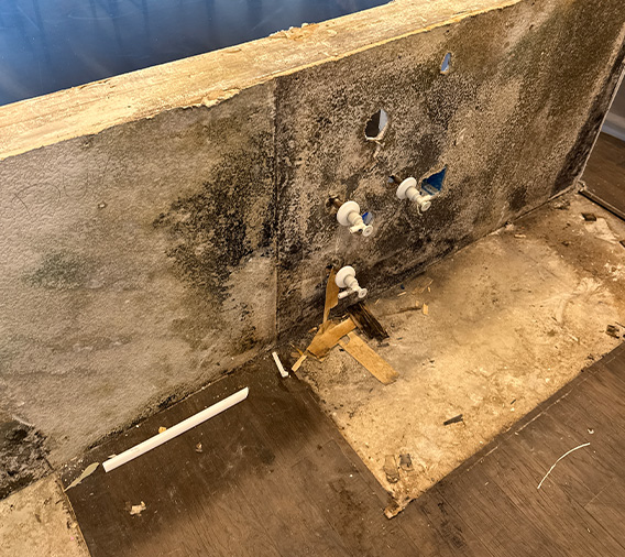 Professional mold remediation and removal services for water-damaged walls.