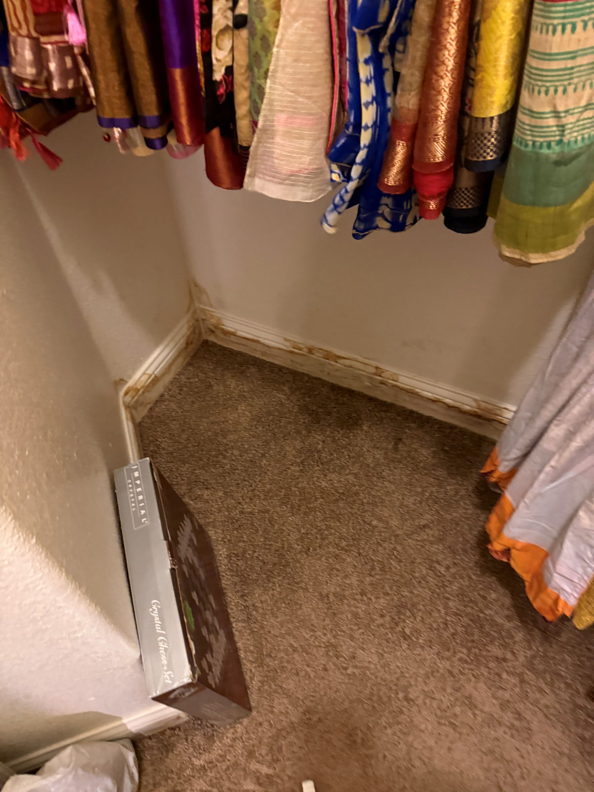 Attic mold removal services - One Call Restoration