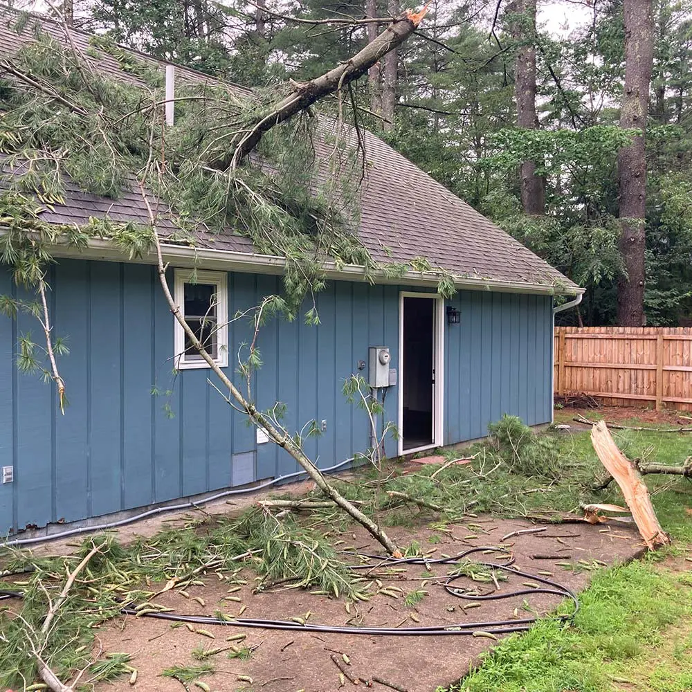 Emergency tree damage cleanup - One Call Restoration